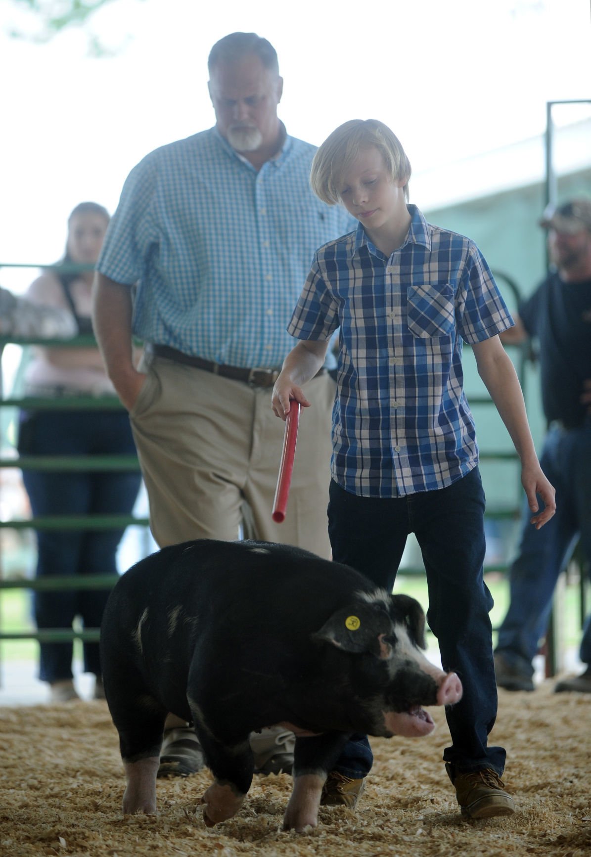 COUNTY FAIR WEDNESDAY